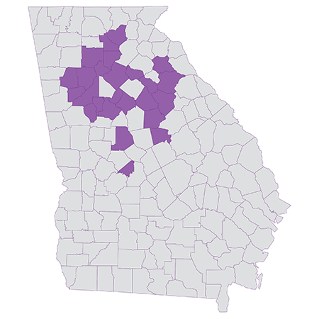 Georgia Medicare Advantage 2021 Counties Coverage Map
