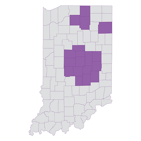 Indiana Medicare Advantage 2021 Counties Coverage Map