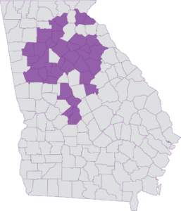 Care Source 2023 GA DSNP Covered Counties