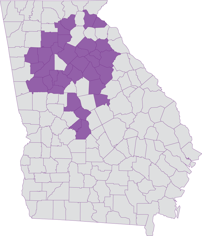 Georgia CareSource Dual Advantage 2022 Service Area