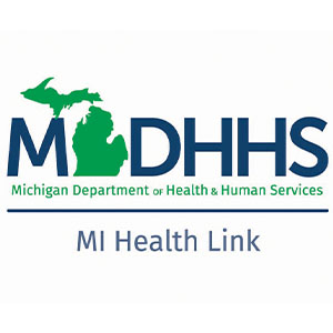 MIDHHS - MI Health Link Logo