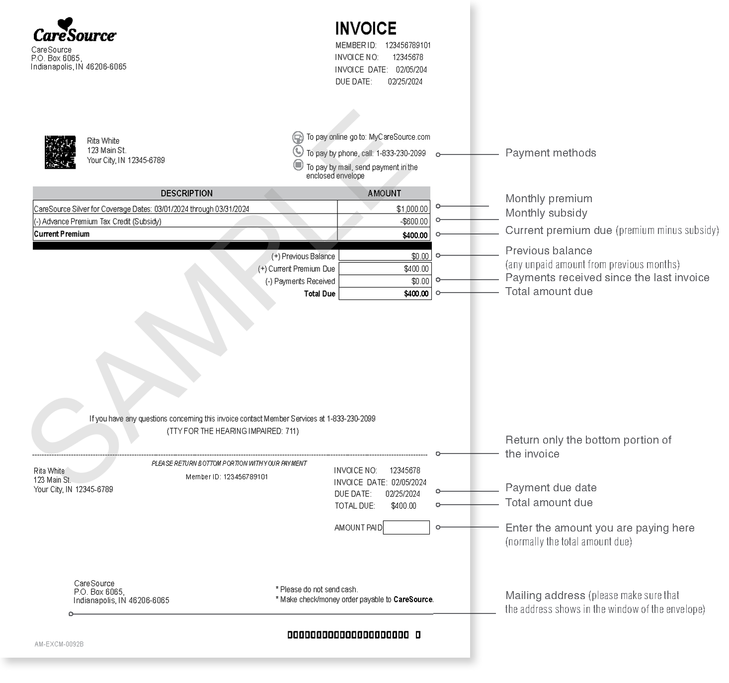 example of a CareSource invoice